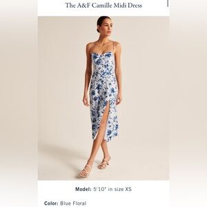 A&F Camille Midi Dress in Blue Floral